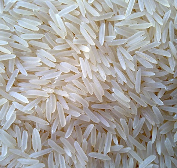 1509 Basmati Rice