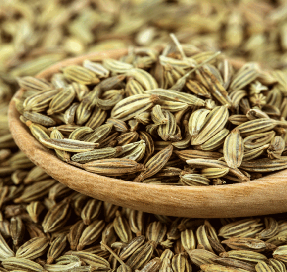 Fennel Seeds