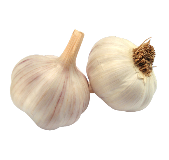 Garlic Powder