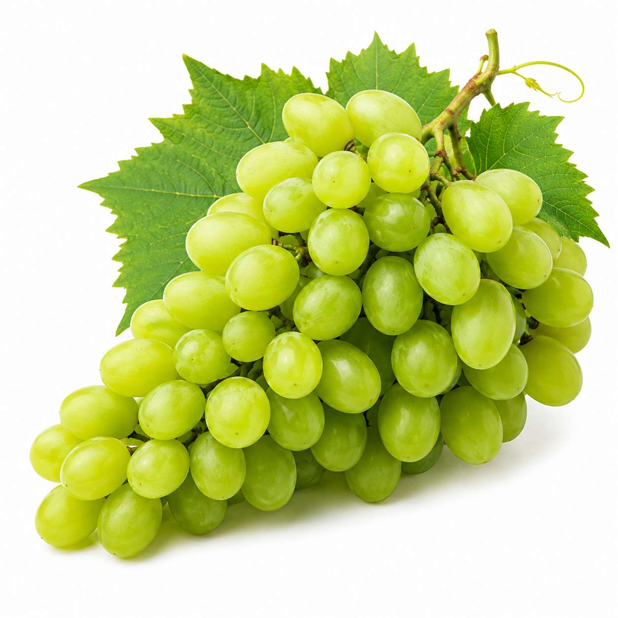 Grapes