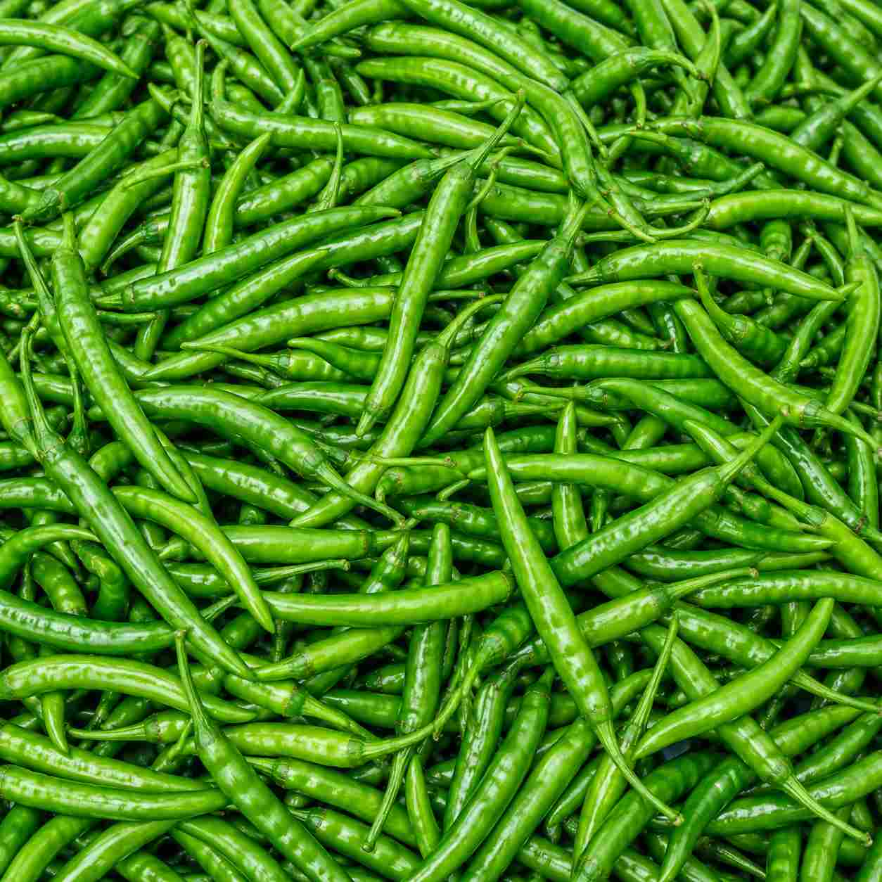 Green Chilli