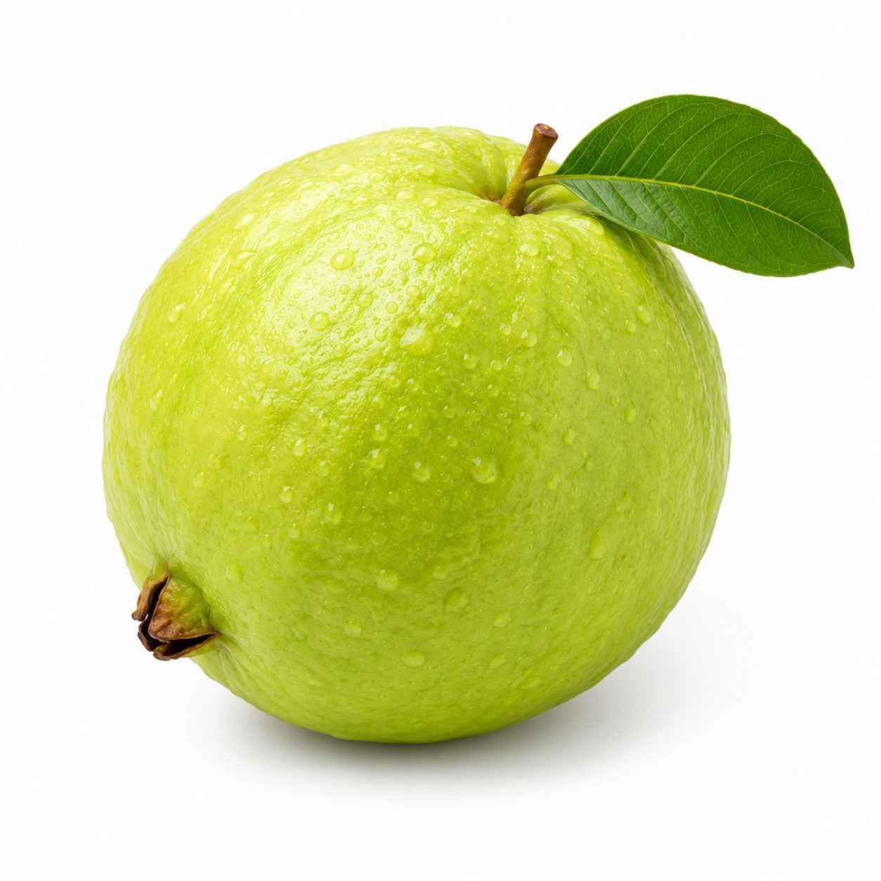 Guava