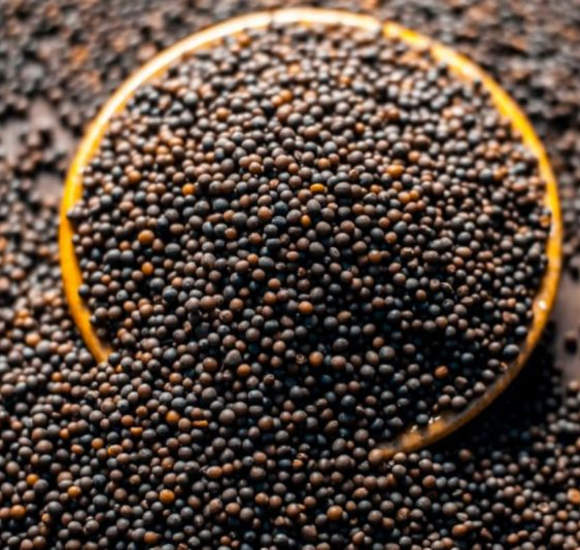 Mustard Seeds
