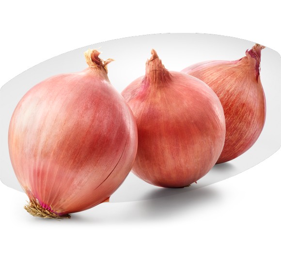 Pink Onion
