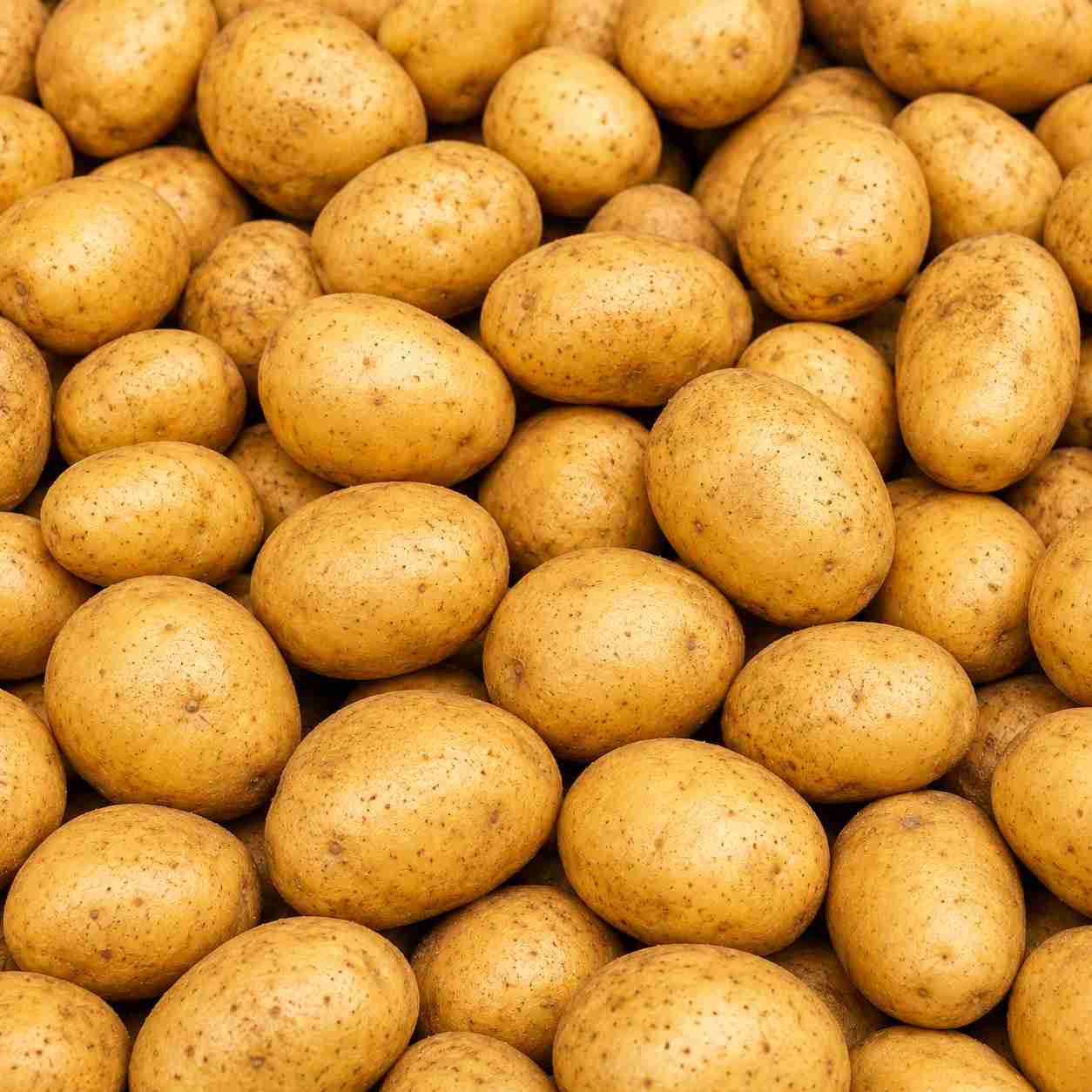Potato