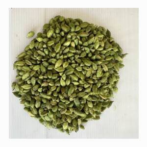 Alleppey Green Superior in India