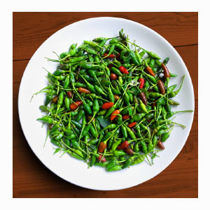 Bird’s Eye Chilli in India
