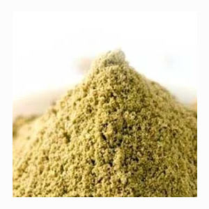 Blended Coriander Powder in India
