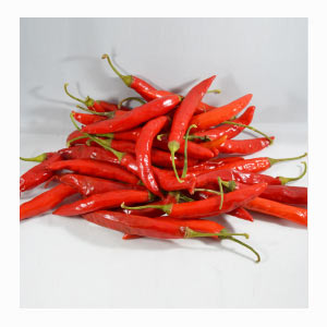 Cayenne / Generic Hot Red Chilli in United States