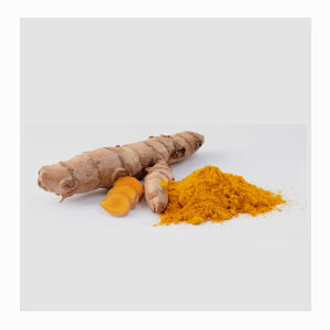 Curcuma Longa (Indian Turmeric) in United States