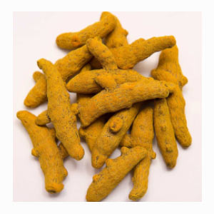 Erode Turmeric in India