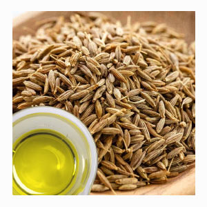 Essential Cumin Oil & Extracts in United States