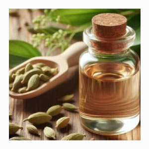 Industrial-Grade Cardamom Extracts & Oils in United States