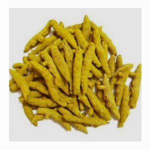 Madras Turmeric in United States