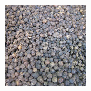 Malabar Black Pepper in India