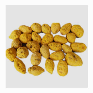 Nizamabad Bulb Turmeric in India