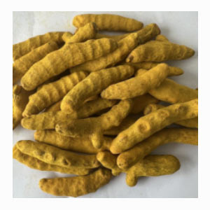 Rajapuri Turmeric in India