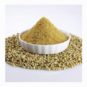 Roasted Coriander Powder in India