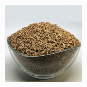 Roasted Cumin Seeds in United States