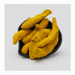 Salem Turmeric in India