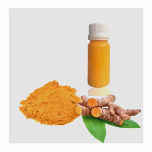 Turmeric Oleoresin & Extract in United States