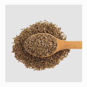 Whole Cumin Seeds in United States